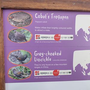 New Rainbow Aviary Signage