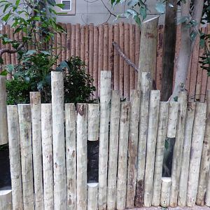 New Exhibit in Tropical Realm