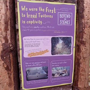 Signage on Tuatara Enclosure