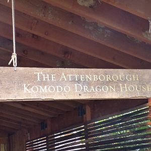 Komodo Dragon House
