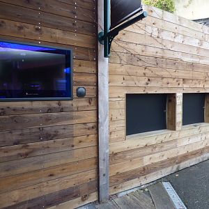 Remainders of Prefessor Wu (Chinese Giant Salamander)