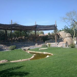 Amphiteathre for bird show