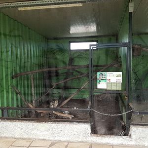 Enclosure Cape Genet