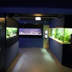 View in the Aqua-zoo