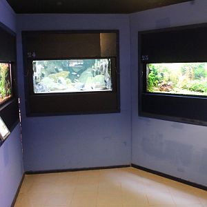 View in the Aqua-zoo