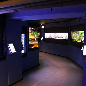 View in the Aqua-zoo