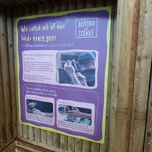 Signage in Tropical Realm Upstairs Corridors