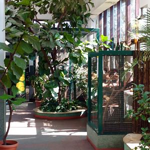 Interior of bird house