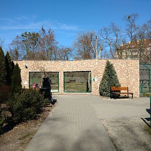 Asiatic black bear enclosure viewing area