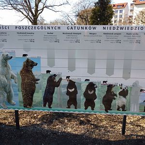 Bear species of the world signage