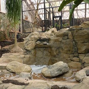 Between Tropics and Desert, April 2017