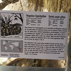 Sign Darwin carpet python