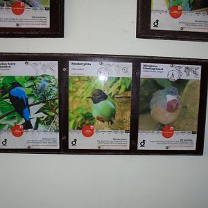 Some of the inhabitants of the exhibit
