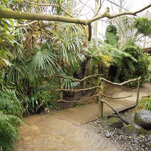 A bridge in the exhibit