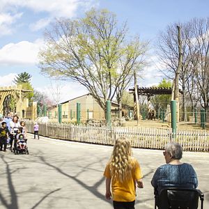 Apr. 2017 - Africa - Indian + African Elephant Exhibit (Newly Renovated)