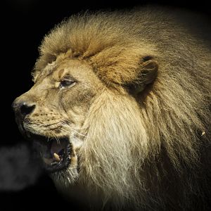 Apr. 2017 - Africa - Kenya