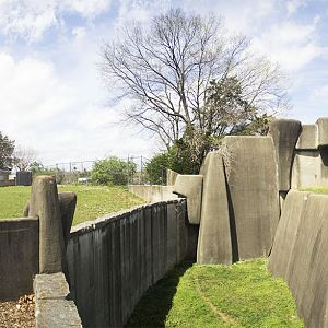 Apr. 2017 - Africa - Savanna + Lion Exhibit