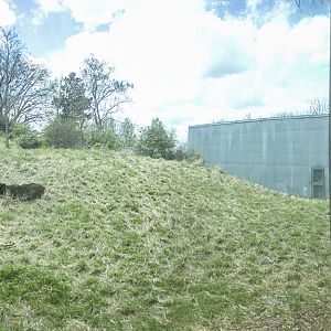 Apr. 2017 - Gorilla Forest - First Gorilla Exhibit Panorama