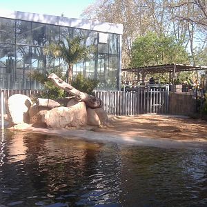 Common hippo exhibit (and building for elephants too)