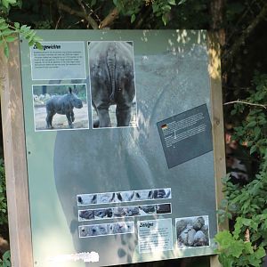Info-sign Rhinos