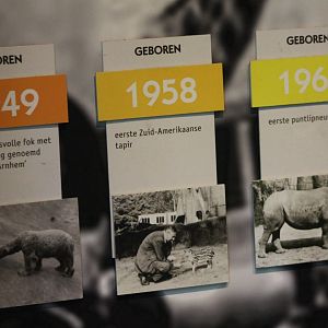 Some historical succeses