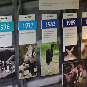 More historical succeses