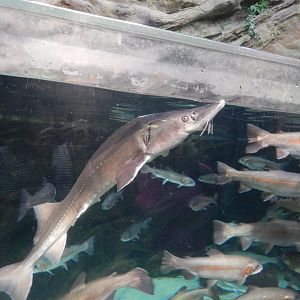 Blue Planet 18/08/16