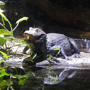 Blue Planet 18/08/16