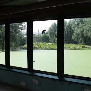 Polar bear enclosure