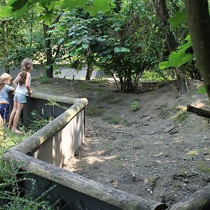 Enclosure Guinea-pig