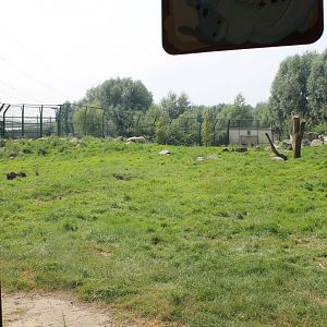 View into Polar bear-enclosure