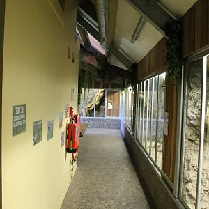 Reptile - Small Mammal Attic