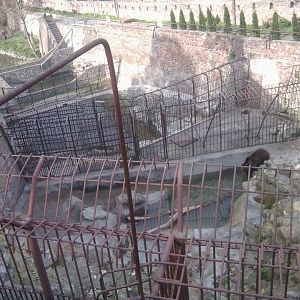 Old, still functioning bear complex (3 species of bears)