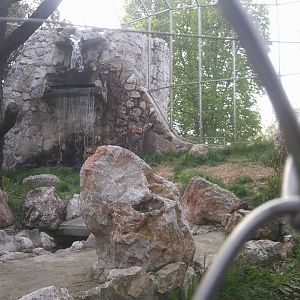 Leopard exhibit