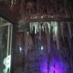 American aligator cave