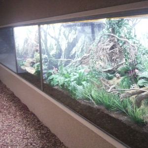 Reptile exhibit