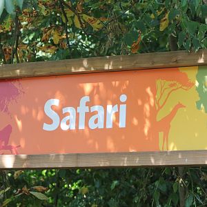 Safari-sign