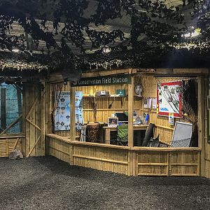 Gibbon Forest (exhibit) interior : Twycross : 18 Mar 2017