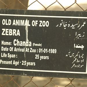 Zebra sign - Lahore zoo 8/4/2017