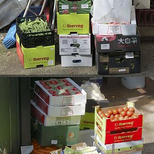 Vegetables delivered to the Ape House