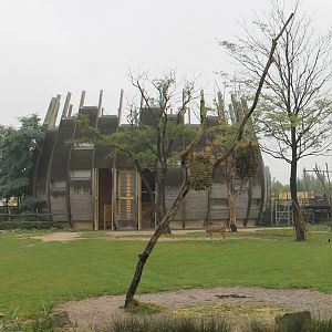 Giraffe - Kudu enclosure with indoor-enclosure