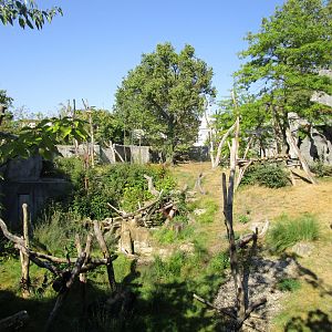 Spectacled Bear Enclosure