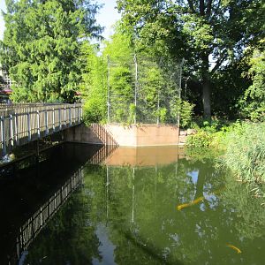 Sumatran Tiger Viewing