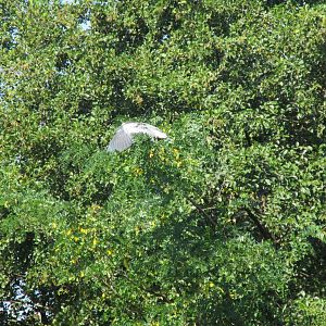 Nighttime.....daytime!