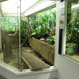 Aviary-under-construction