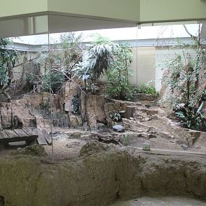 African Aviary