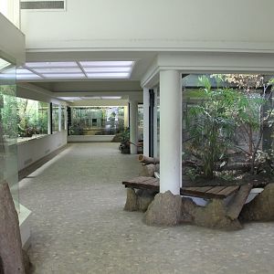 View into the Bird-house