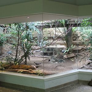 South-america Aviary