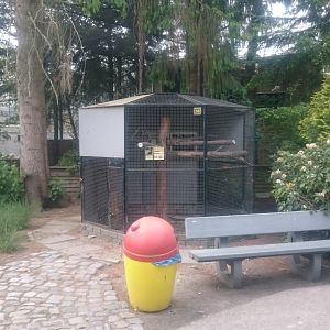 Kea-aviary