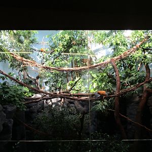 Grzimek House Central Exhibit